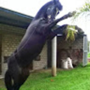 Meet your Posher, Alejandro